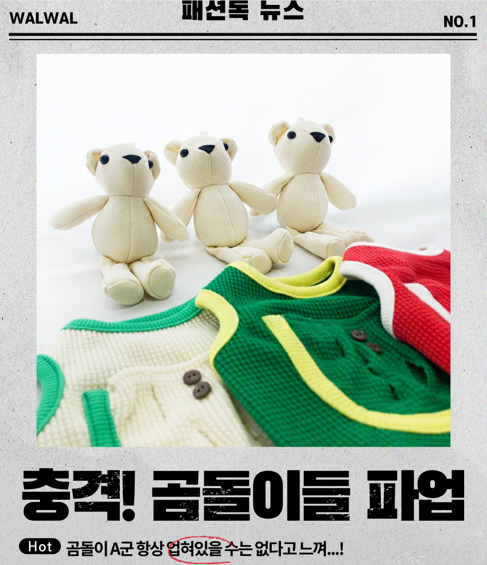 강아지가을옷 강아지옷 애완견옷 상세 이미지 3