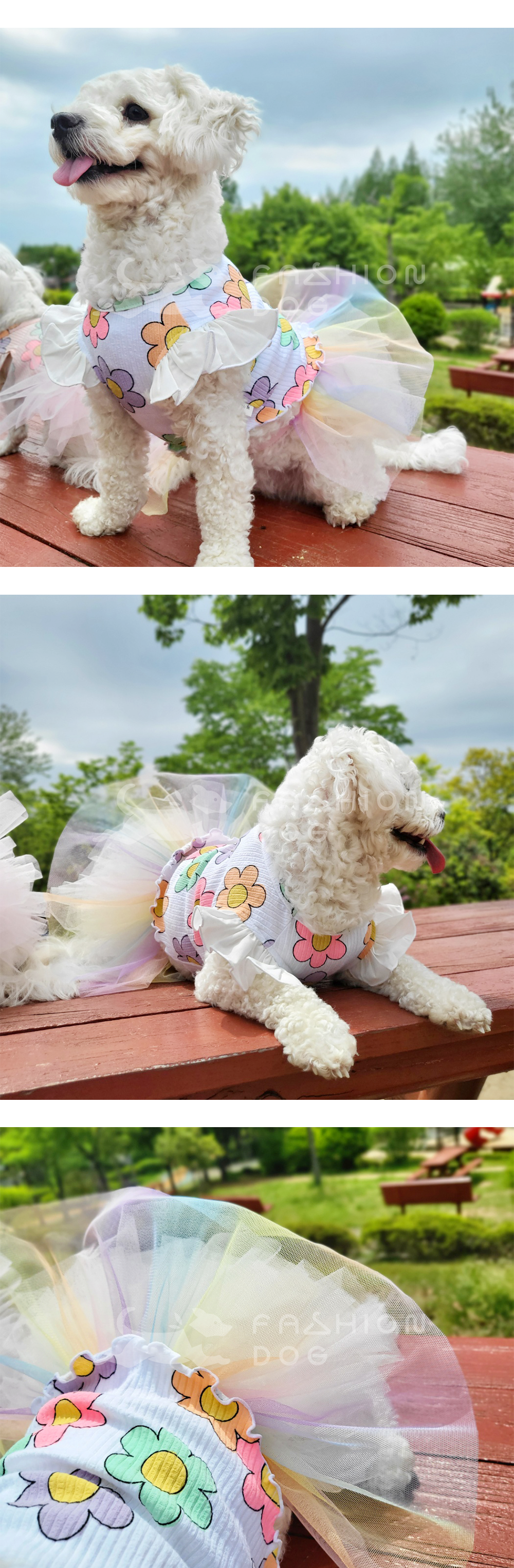 강아지치마 애견원피스 소형견옷 상세 이미지 6