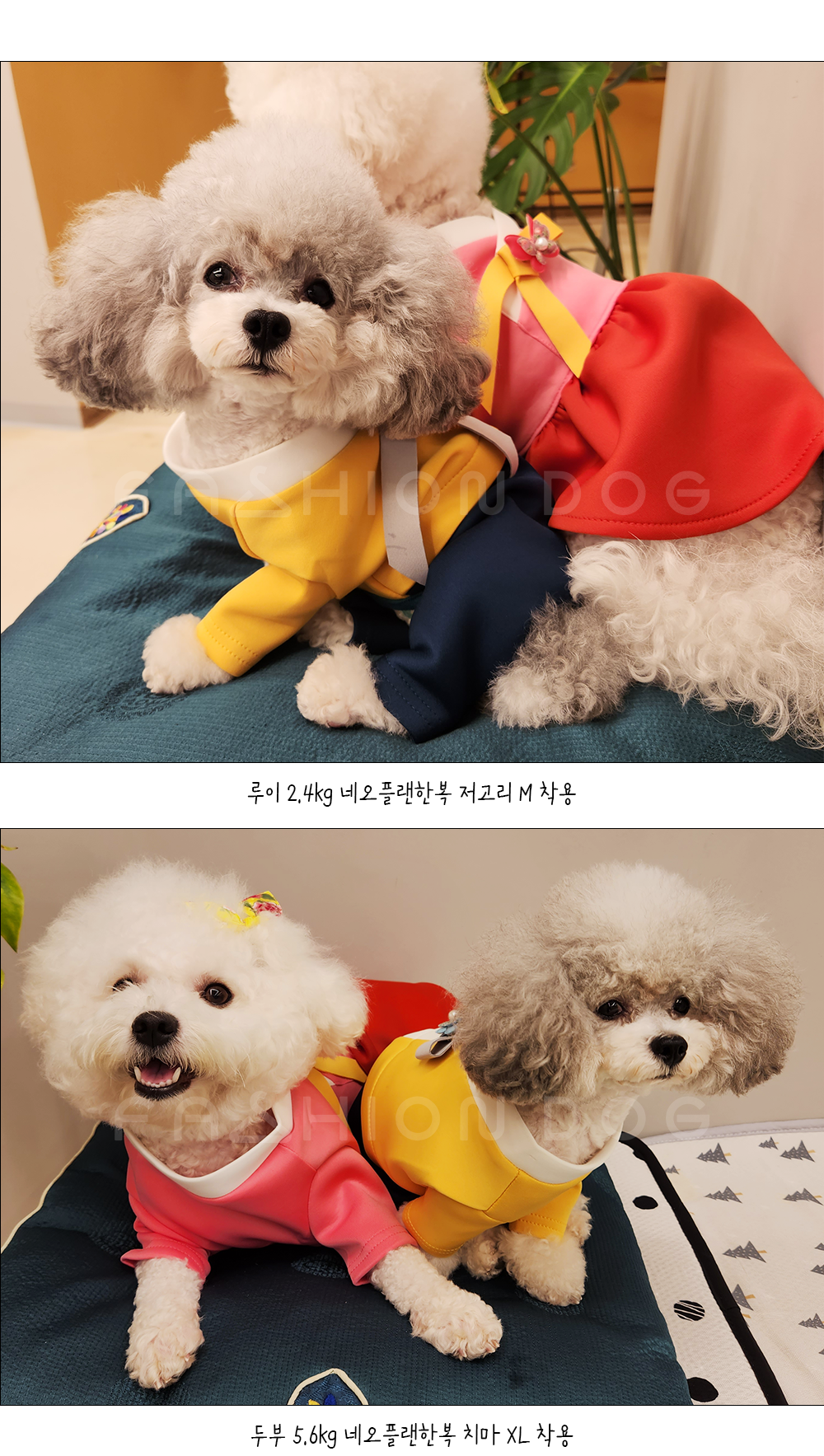 강아지한복남아 반려견한복원피스 애견한복원피스 상세 이미지 4