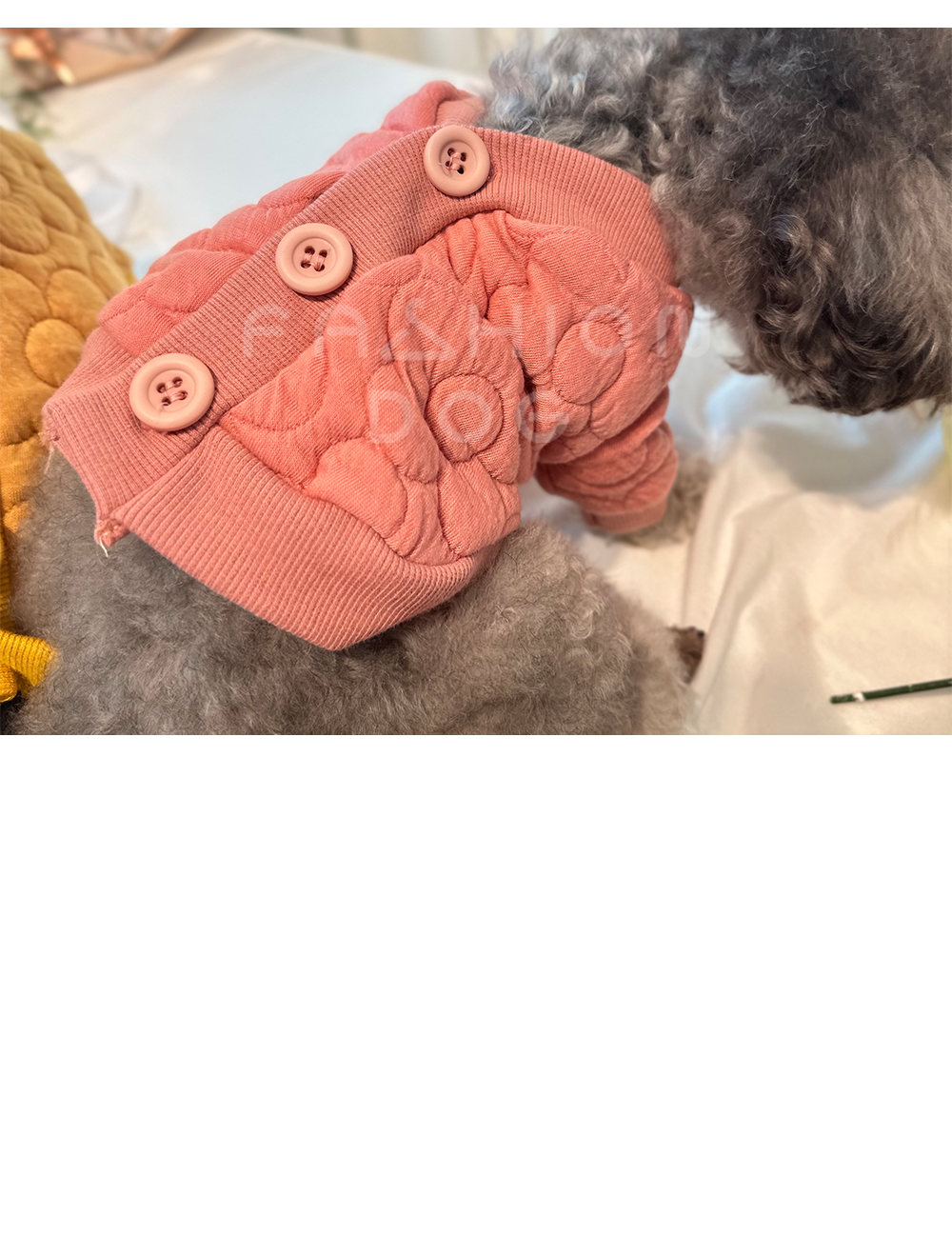 애견옷 반려견옷 펫의류 상세 이미지 9