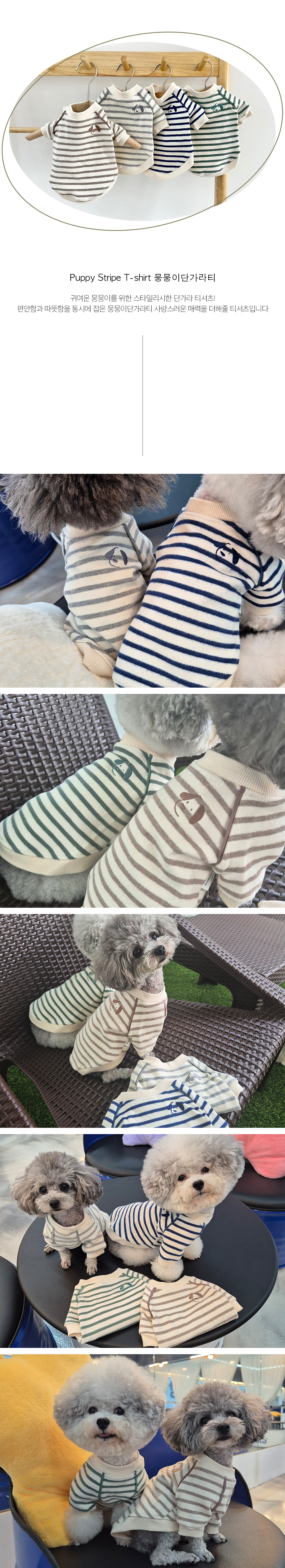 애견옷 아동강아지티셔츠 강아지티셔츠 상세 이미지 4