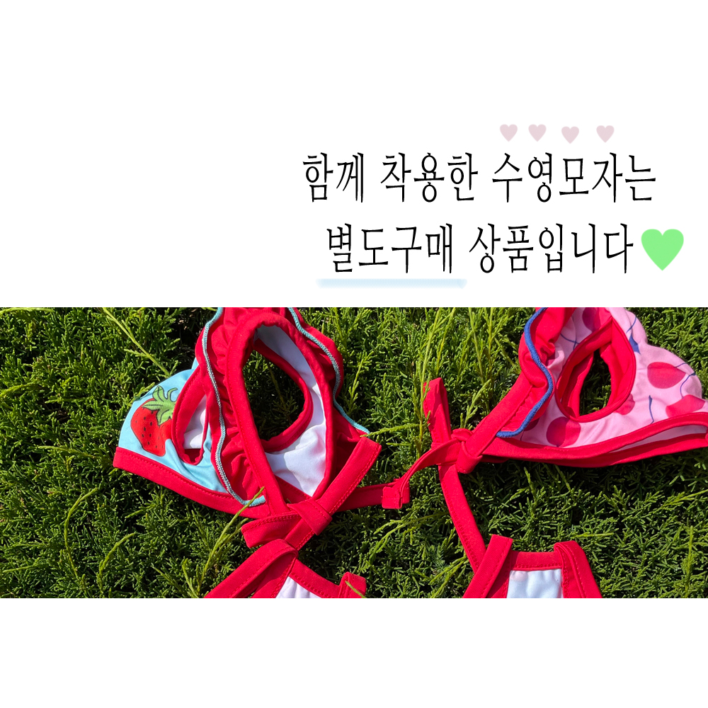 강아지비키니 강아지바캉스룩 강아지물놀이용품 상세 이미지 3