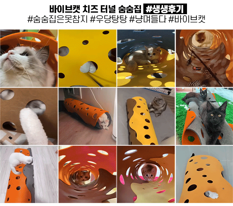 고양이하우스 고양이쿠션 아기고양이장난감 상세 이미지 2