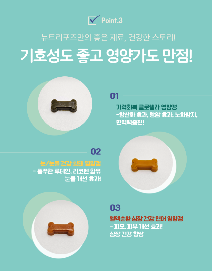 강아지간식 펫간식 반려견간식 상세 이미지 4