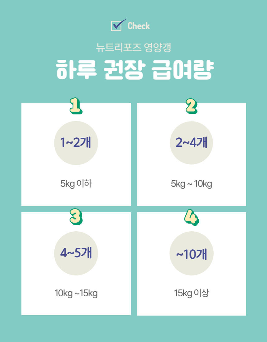 강아지간식 펫간식 반려견간식 상세 이미지 10