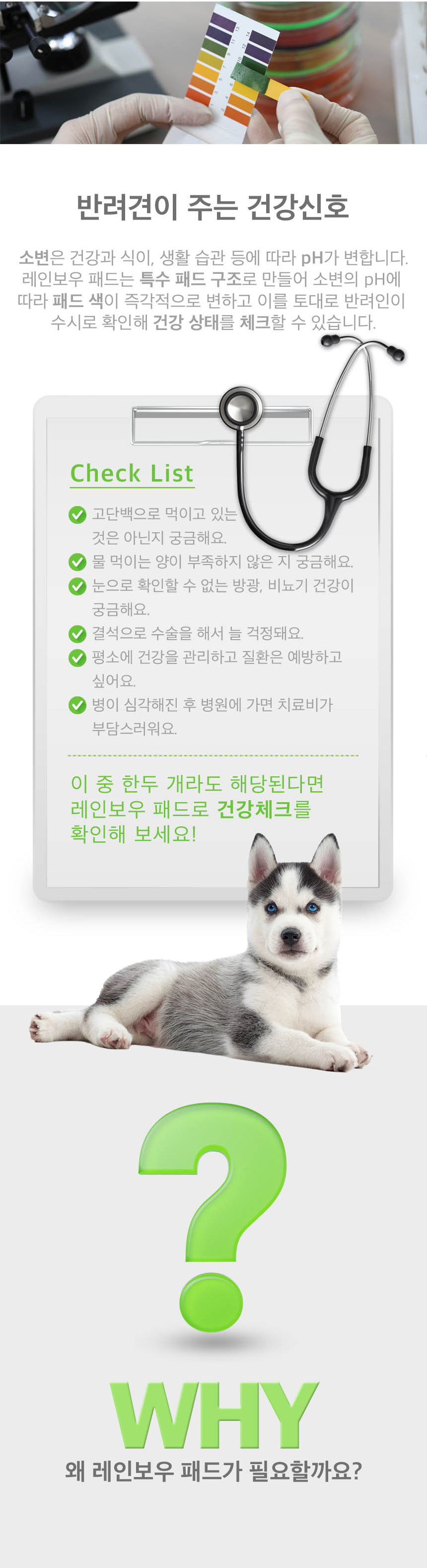 반려견위생패드 강아지위생패드 애견배변패트 상세 이미지 3