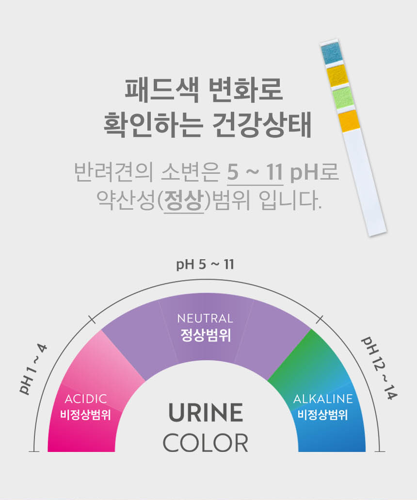 반려견위생패드 강아지위생패드 애견배변패트 상세 이미지 6