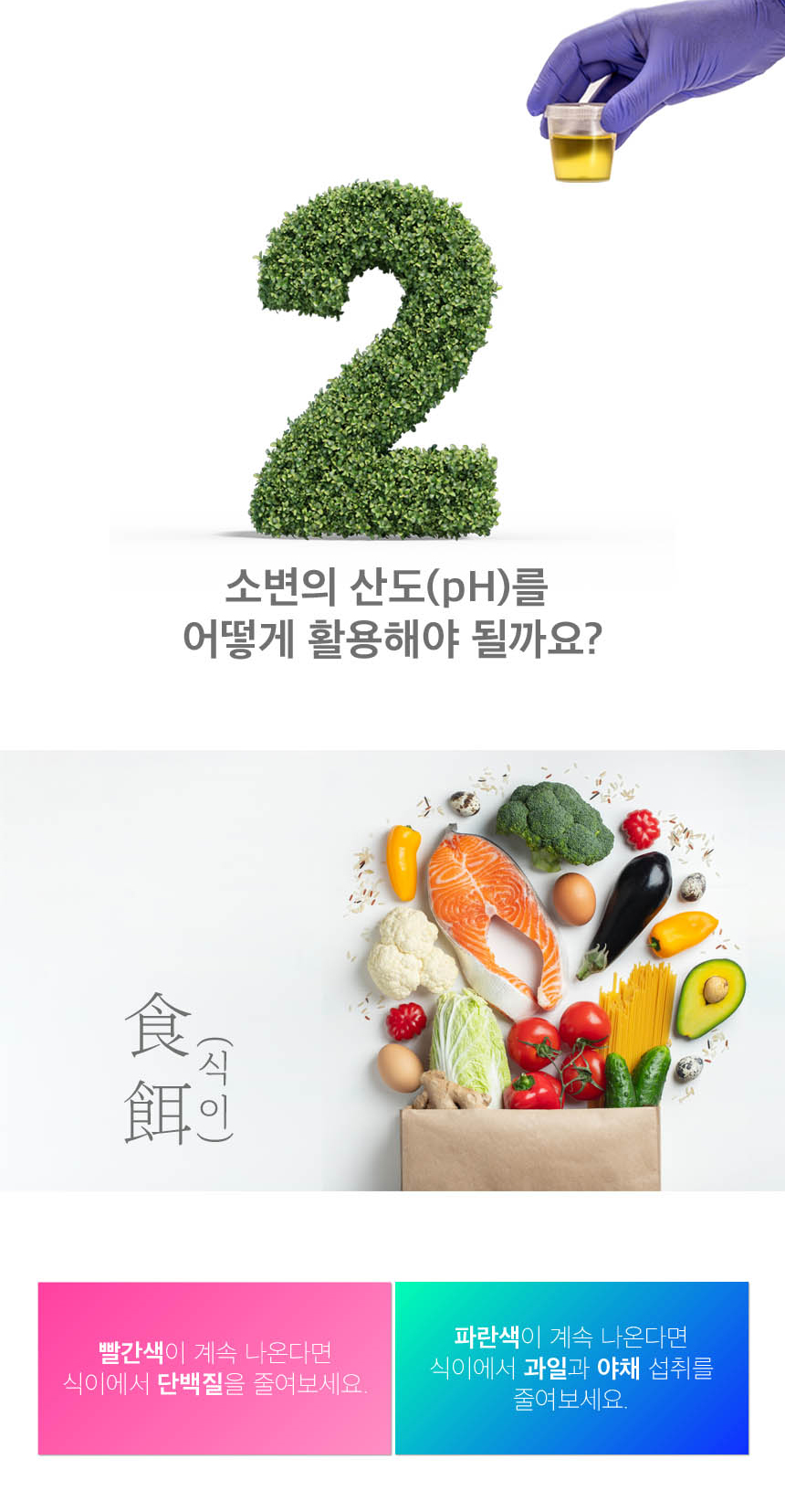 반려견위생패드 강아지위생패드 애견배변패트 상세 이미지 8