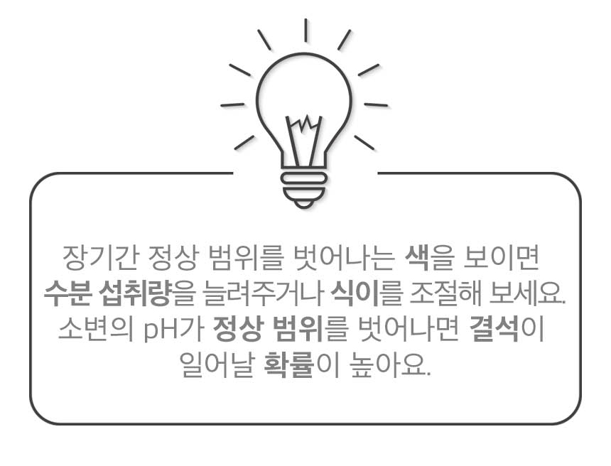 반려견위생패드 강아지위생패드 애견배변패트 상세 이미지 10