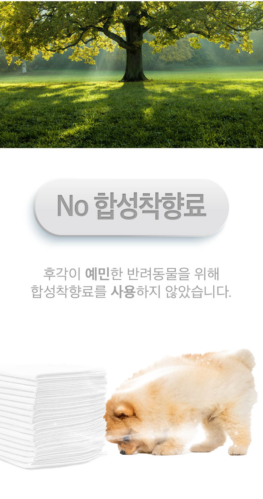 반려견위생패드 강아지위생패드 애견배변패트 상세 이미지 16