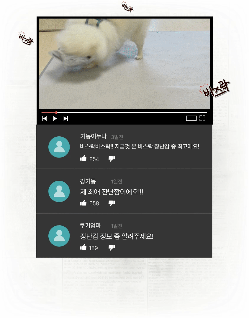 애견인형 강아지장난감 냥이장난감 상세 이미지 3