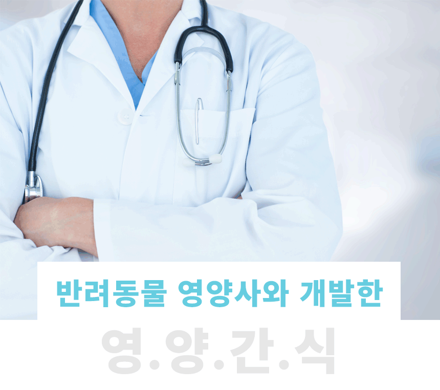 강아지동결건조간식 노령묘간식 강아지간식 상세 이미지 3