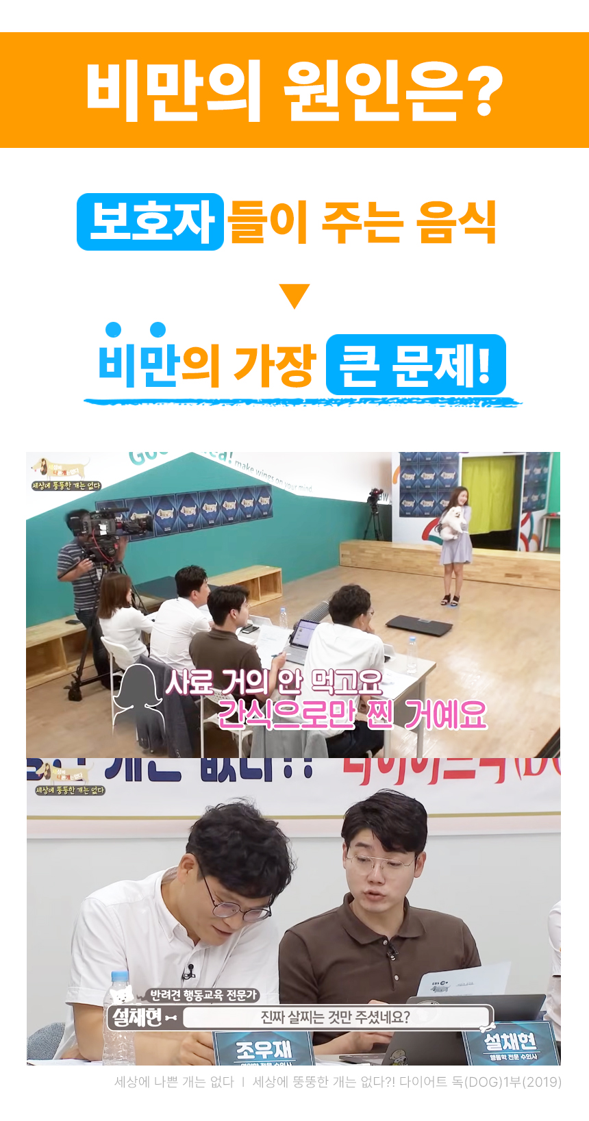 영양간식 강아지트릿 반려동물간식 상세 이미지 14