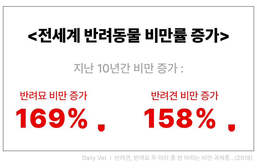 영양간식 강아지트릿 반려동물간식 상세 이미지 11