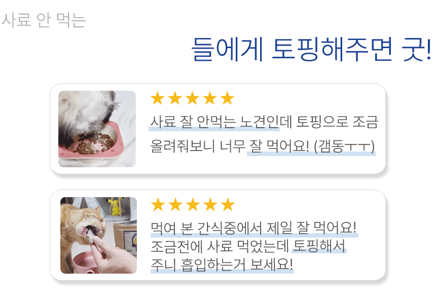 강아지동결건조간식 노령묘간식 강아지간식 상세 이미지 9