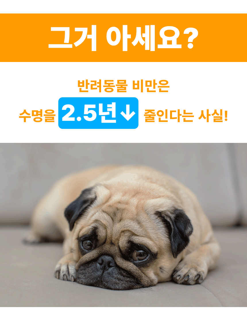 영양간식 강아지트릿 반려동물간식 상세 이미지 13