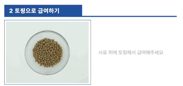 강아지동결건조간식 노령묘간식 강아지간식 상세 이미지 32
