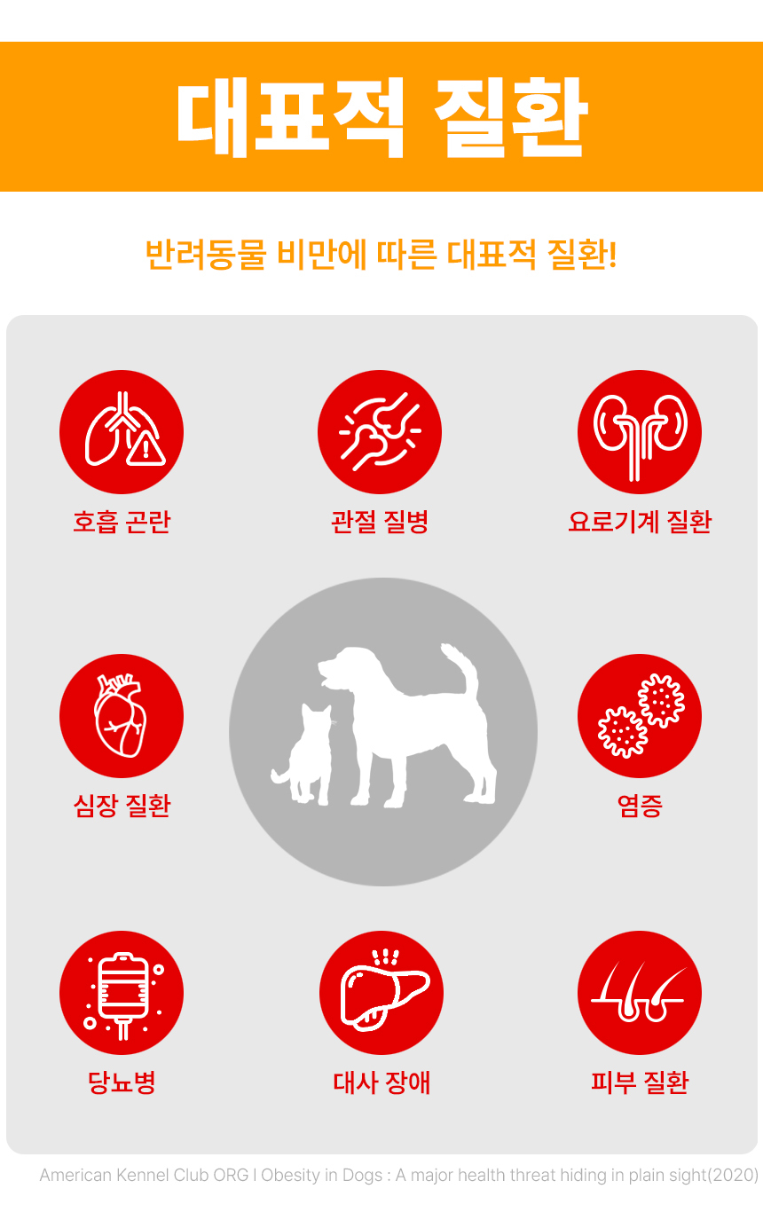 영양간식 강아지트릿 반려동물간식 상세 이미지 12