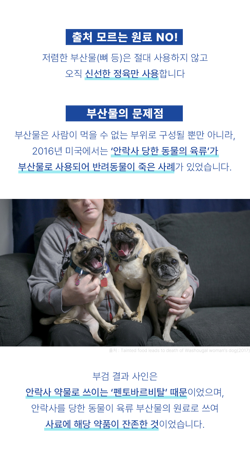 강아지동결건조간식 노령묘간식 강아지간식 상세 이미지 16