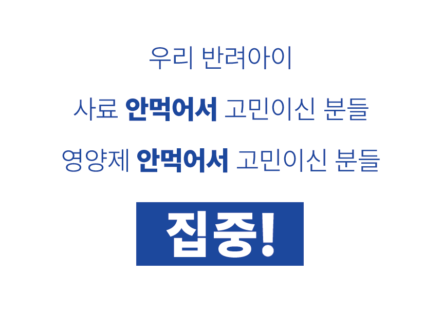 강아지동결건조간식 노령묘간식 강아지간식 상세 이미지 2