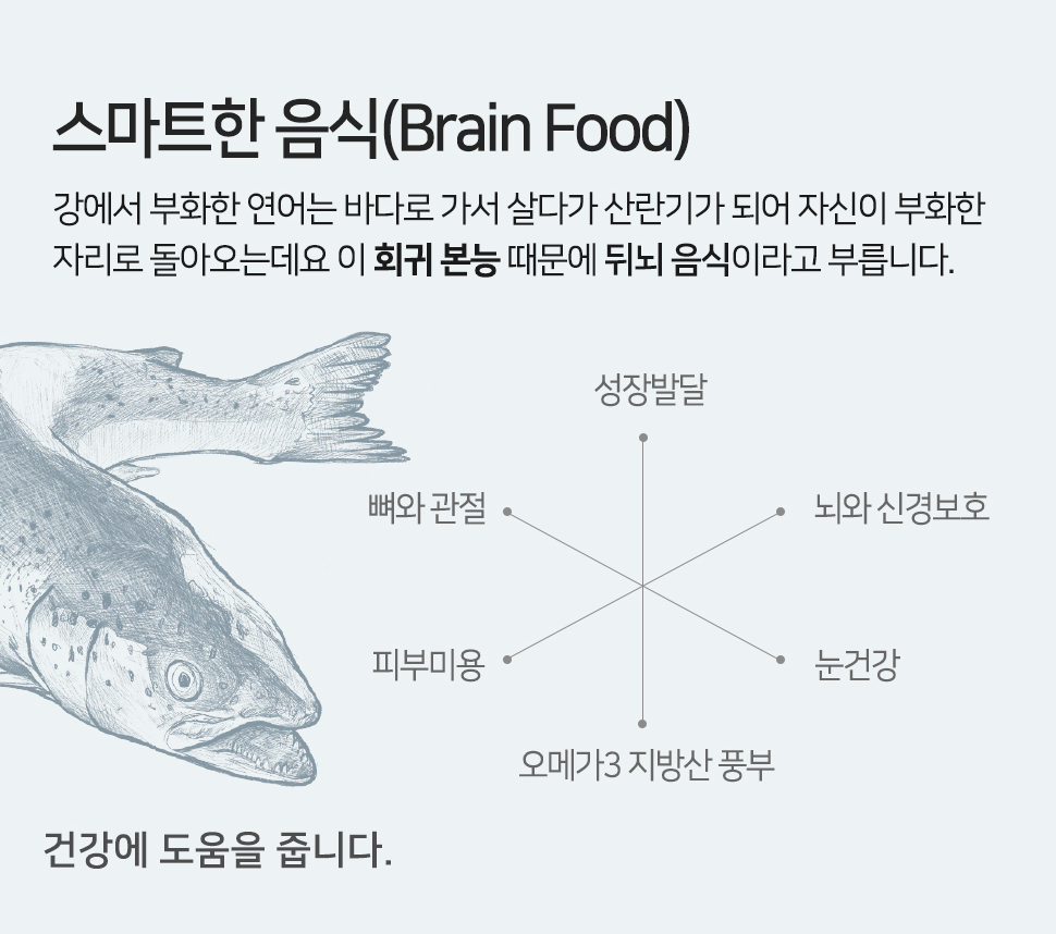 강아지양치껌 애견양치껌 애견껌 상세 이미지 4