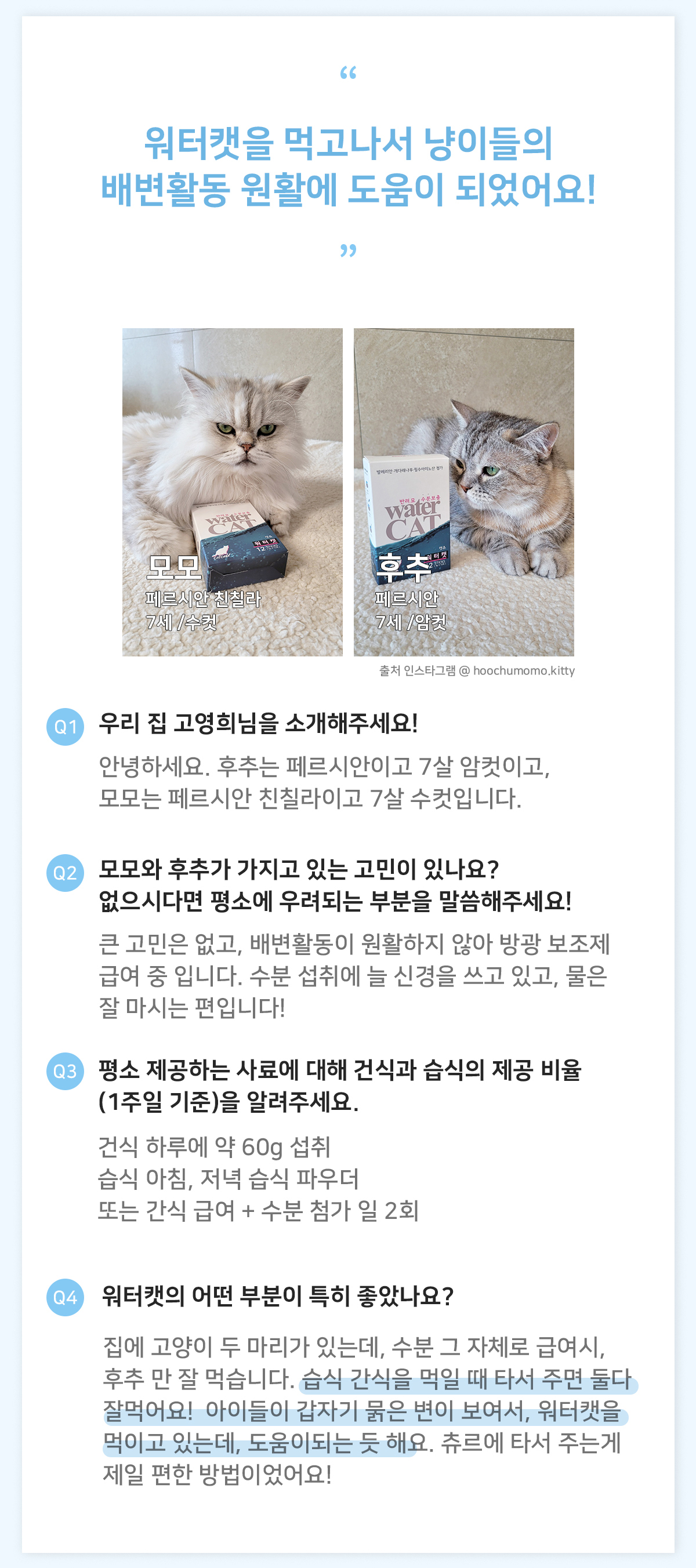 고양이수액 고양이영양제 아기고양이간식 상세 이미지 18