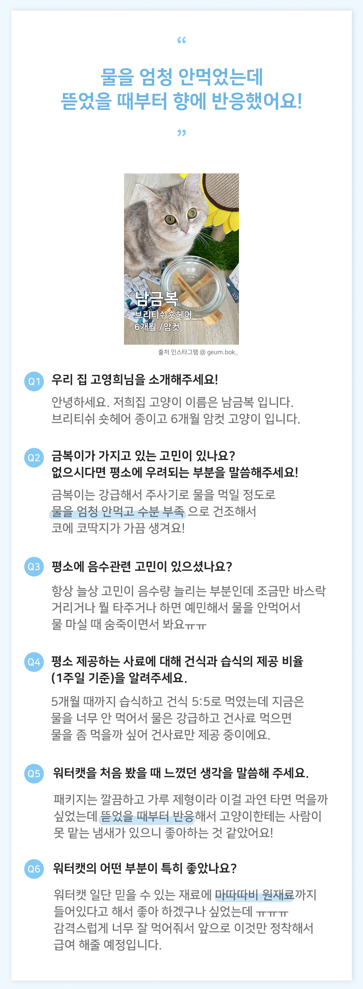 고양이수액 고양이영양제 아기고양이간식 상세 이미지 17
