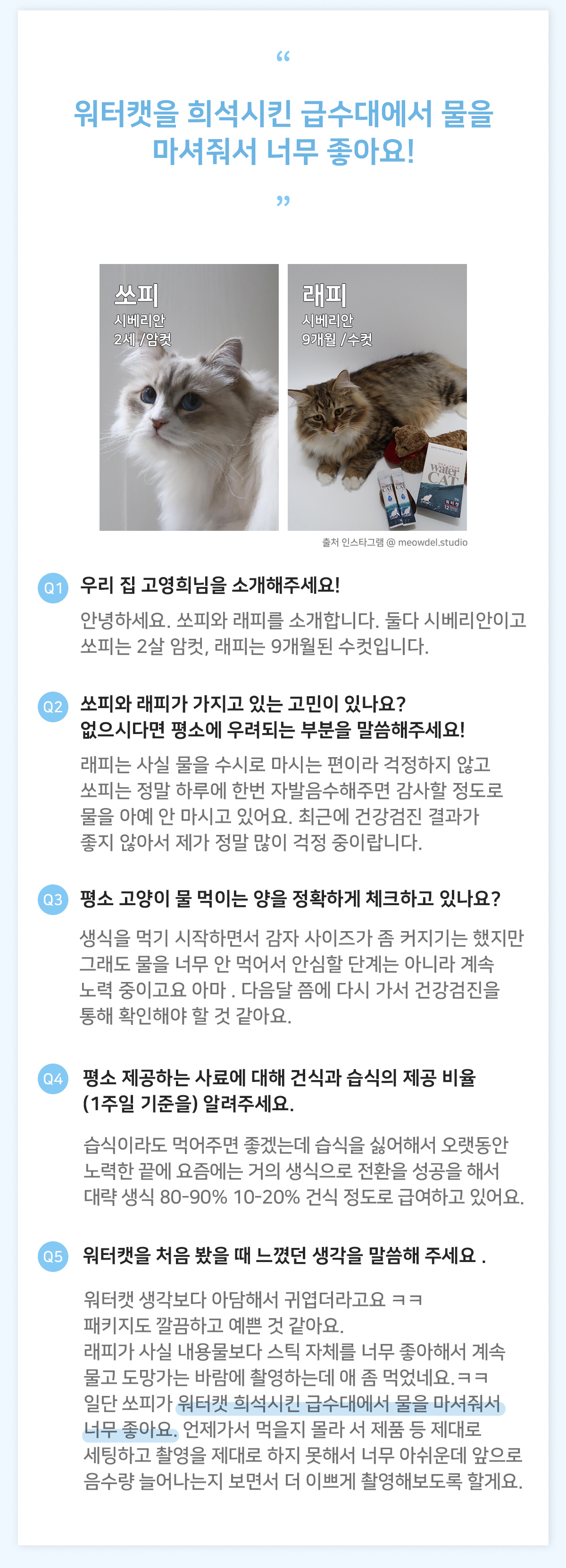 고양이수액 고양이영양제 아기고양이간식 상세 이미지 19