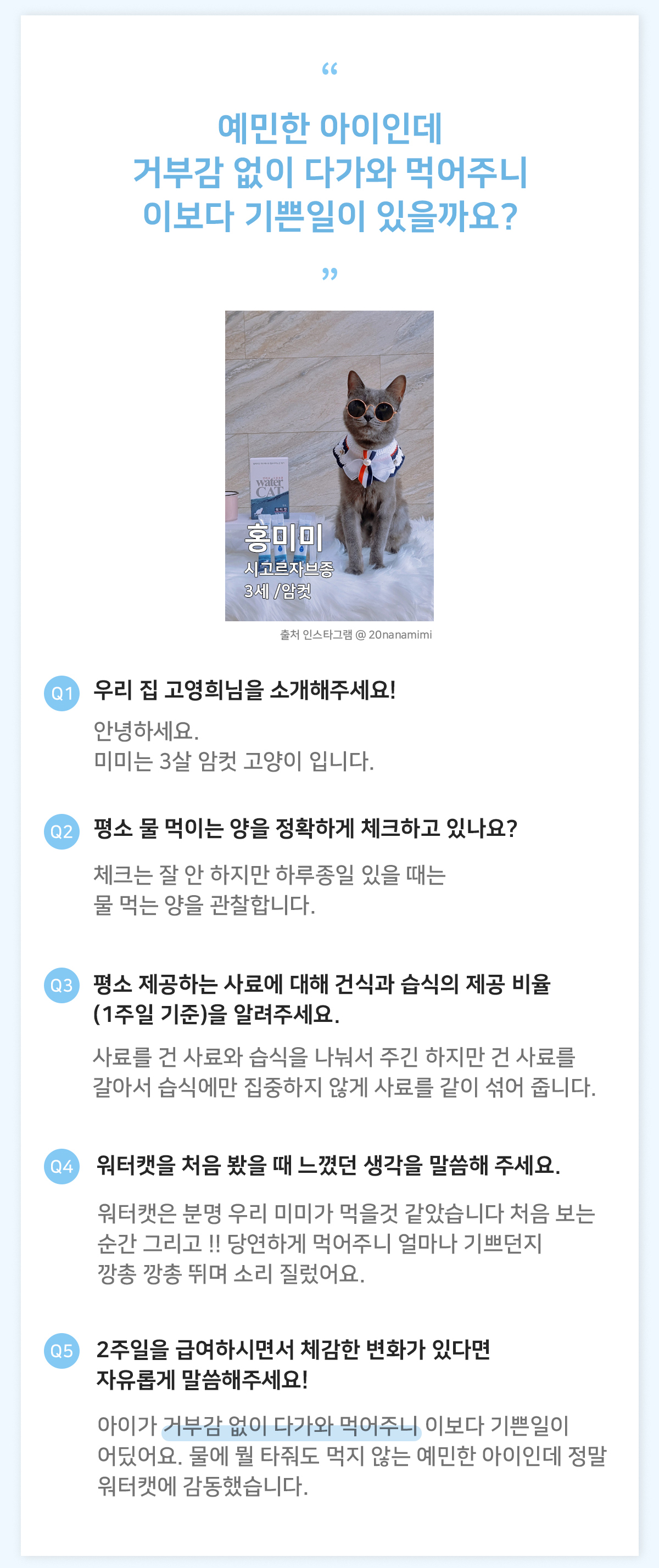 고양이수액 고양이영양제 아기고양이간식 상세 이미지 20