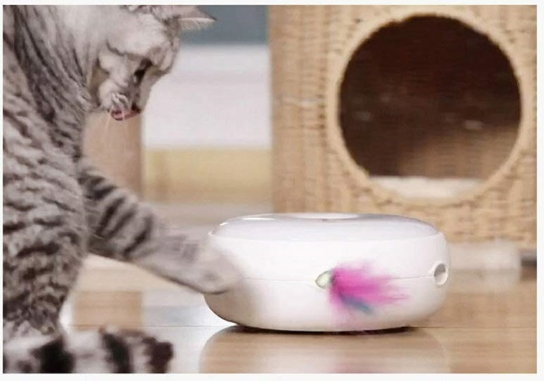 DDAKPET_450691ec-5fba-4cc8-a1a7-3c7db135e7b2.png