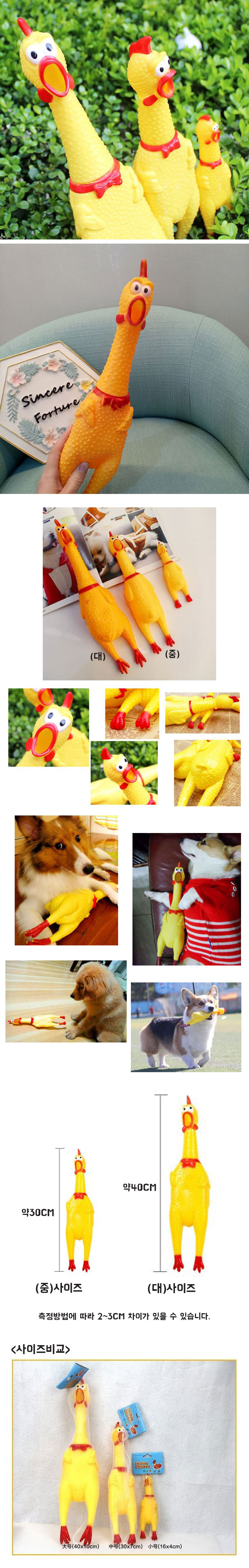 DDAKPET_ac83d8d1-782b-4b7e-b8ca-34ba7ecd3a91.jpg