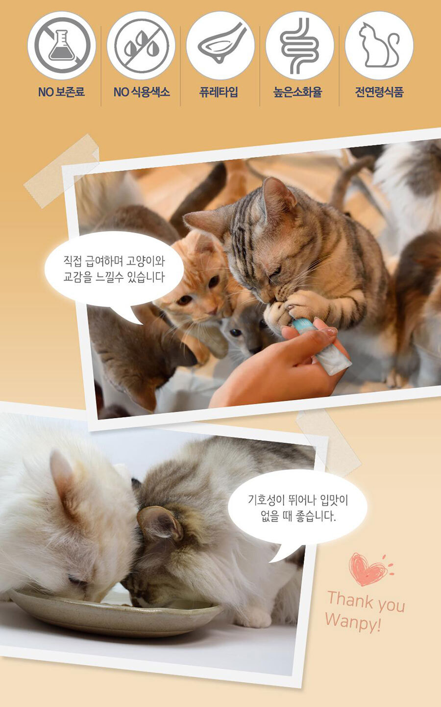 반려묘간식 애묘영양간식 캣간식츄르 상세 이미지 4