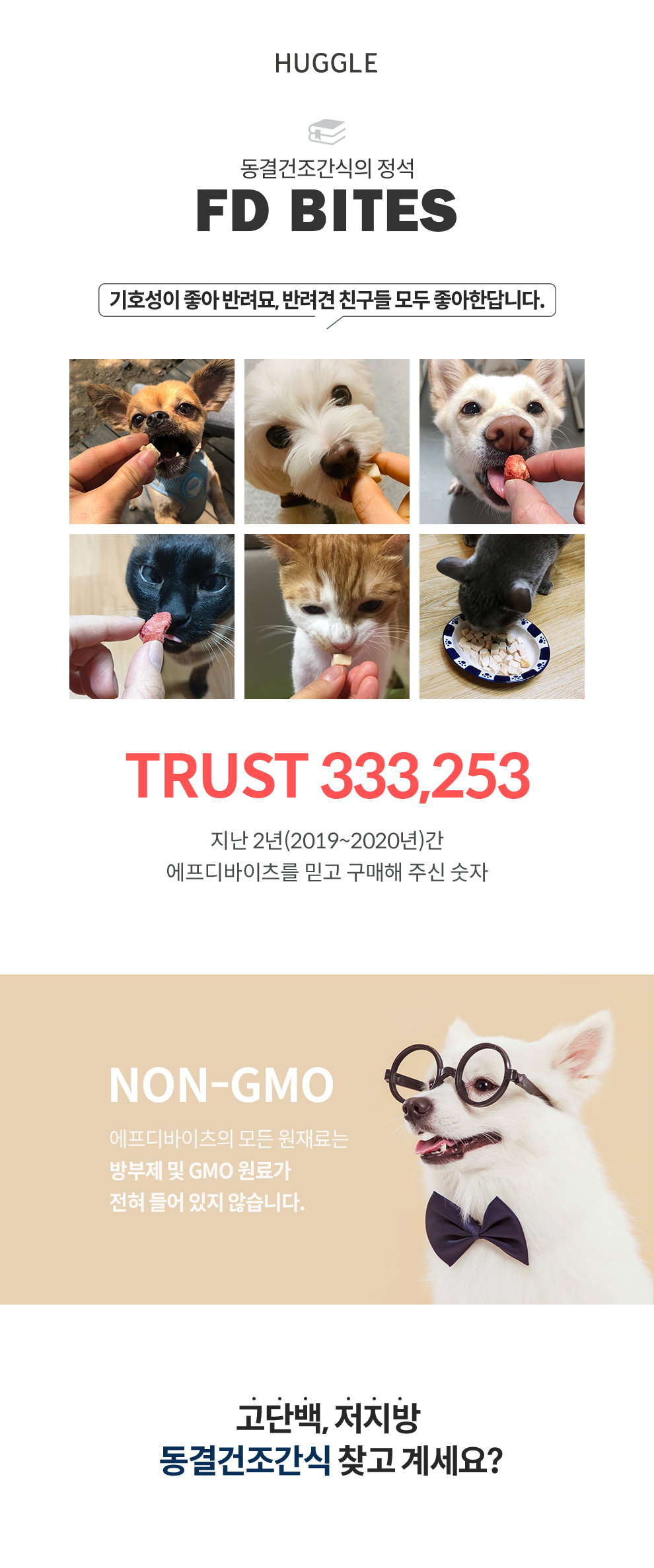 애견건강간식 애견건조간식 건조간식 상세 이미지 3