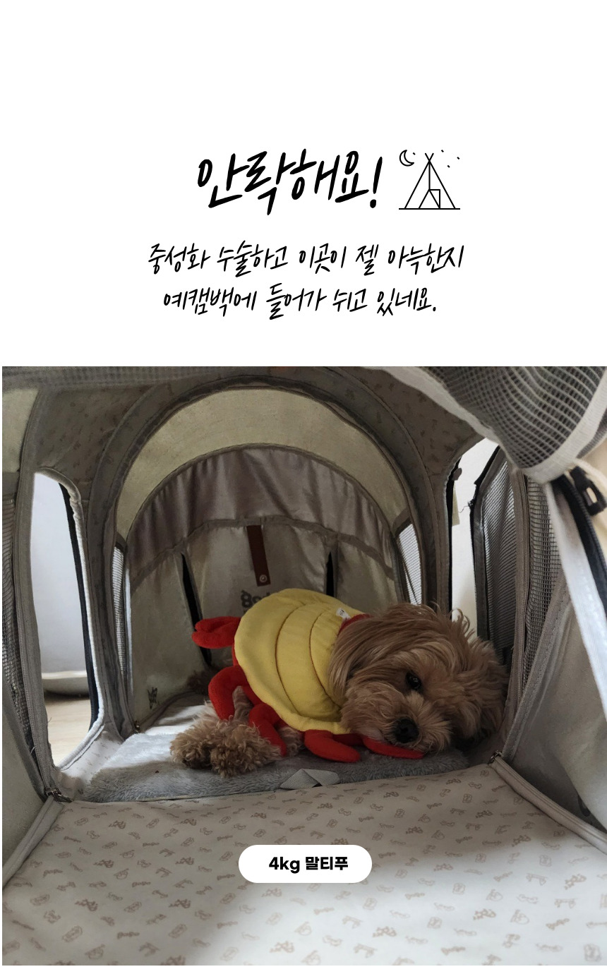 애견캠핑텐트 강아지텐트하우스 강아지텐트 상세 이미지 20
