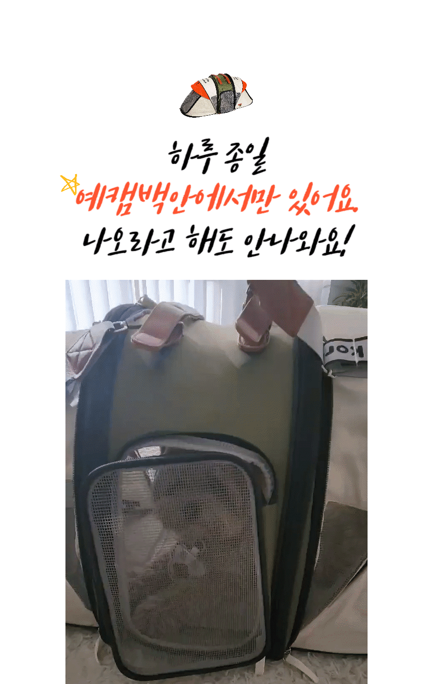 애견캠핑텐트 강아지텐트하우스 강아지텐트 상세 이미지 18
