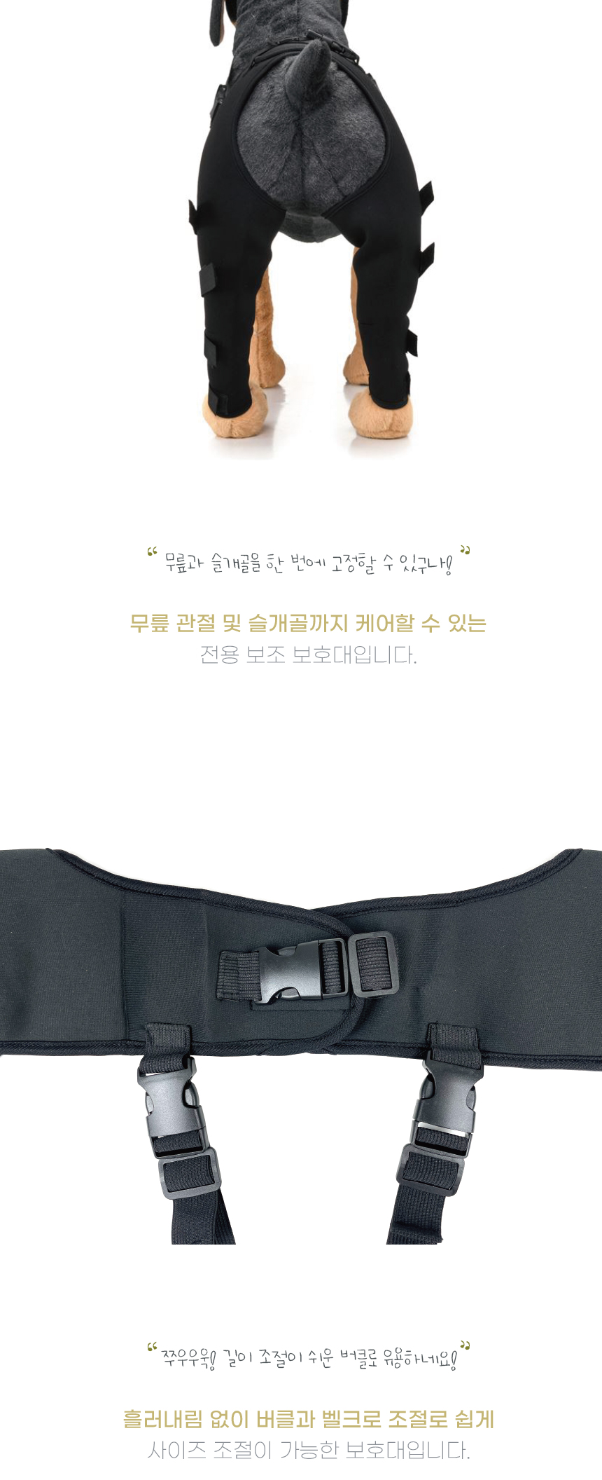 강아지슬개골 애견보행보조 강아지보행보조 상세 이미지 9