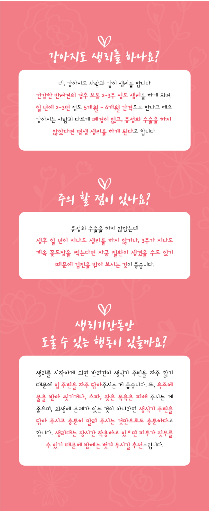 배변용품 애견위생팬티 강아지위생팬티 상세 이미지 2