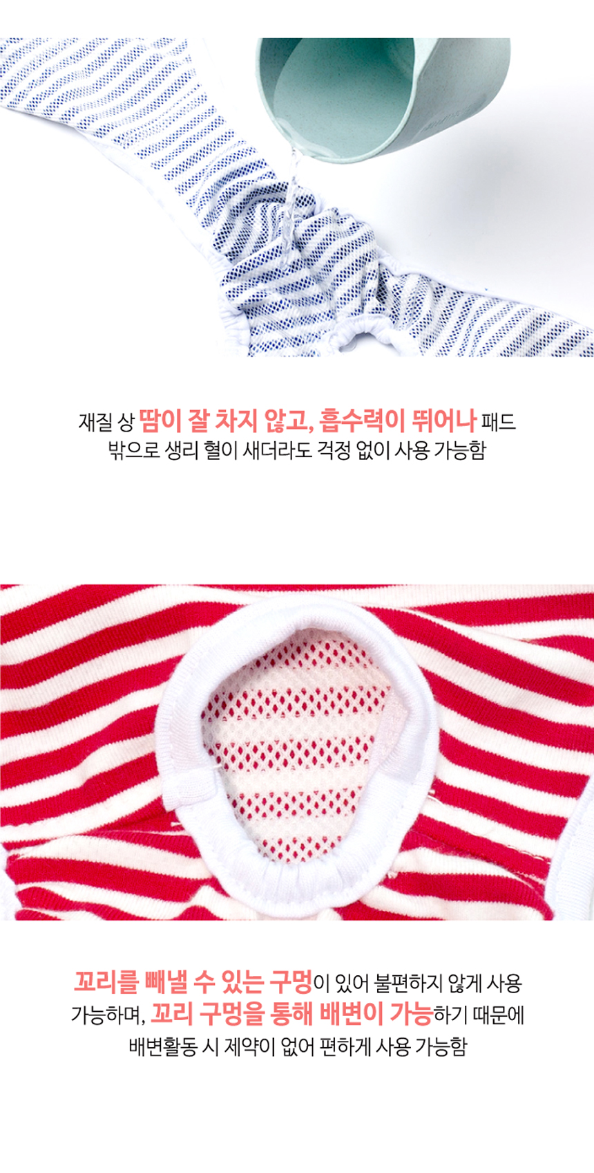 배변용품 애견위생팬티 강아지위생팬티 상세 이미지 8