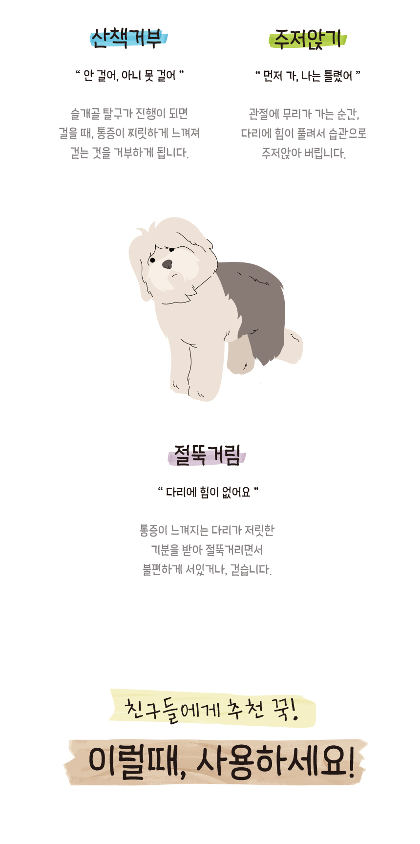 강아지슬개골 애견보행보조 강아지보행보조 상세 이미지 3