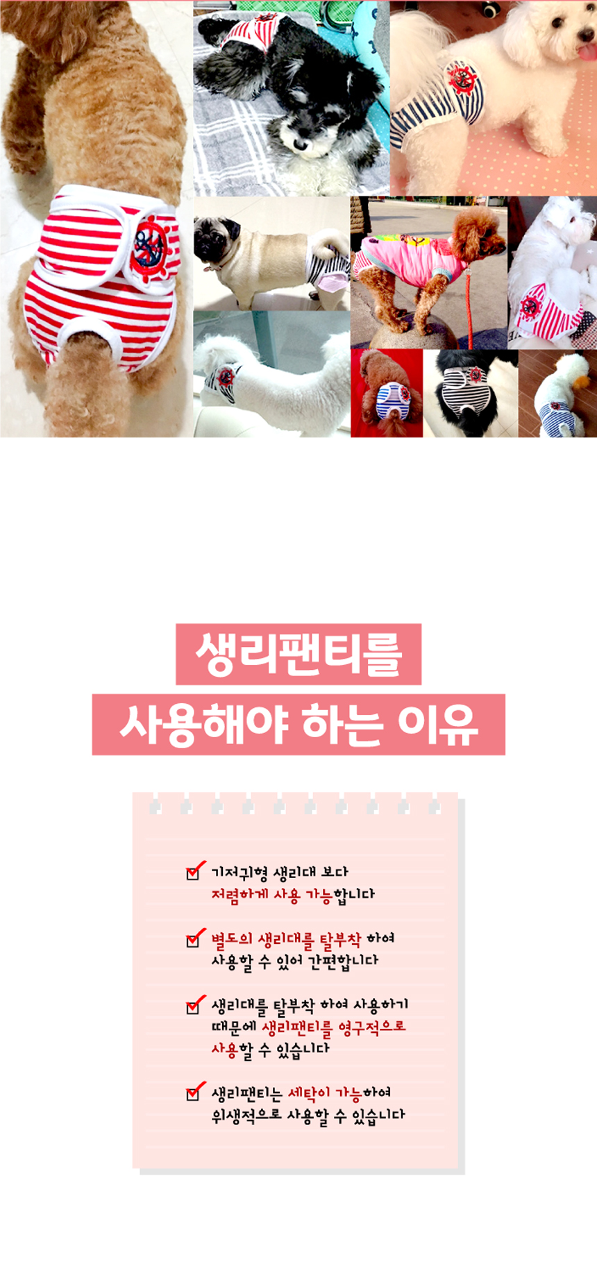 배변용품 애견위생팬티 강아지위생팬티 상세 이미지 3