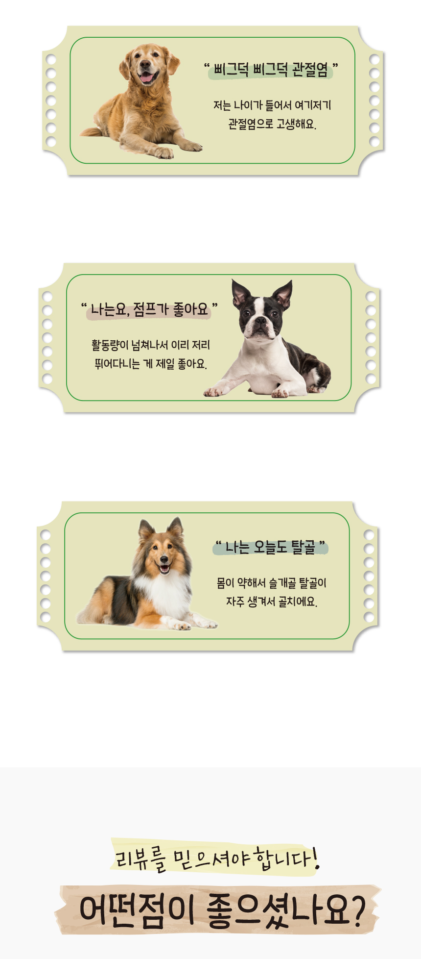 강아지슬개골 애견보행보조 강아지보행보조 상세 이미지 4