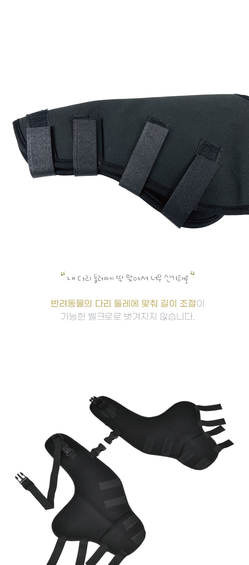 강아지슬개골 애견보행보조 강아지보행보조 상세 이미지 10