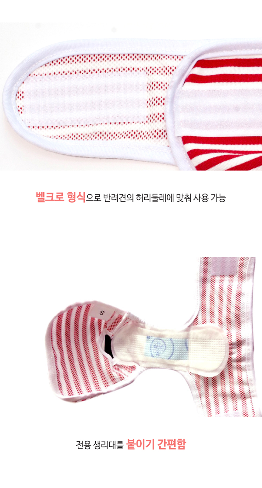 배변용품 애견위생팬티 강아지위생팬티 상세 이미지 7