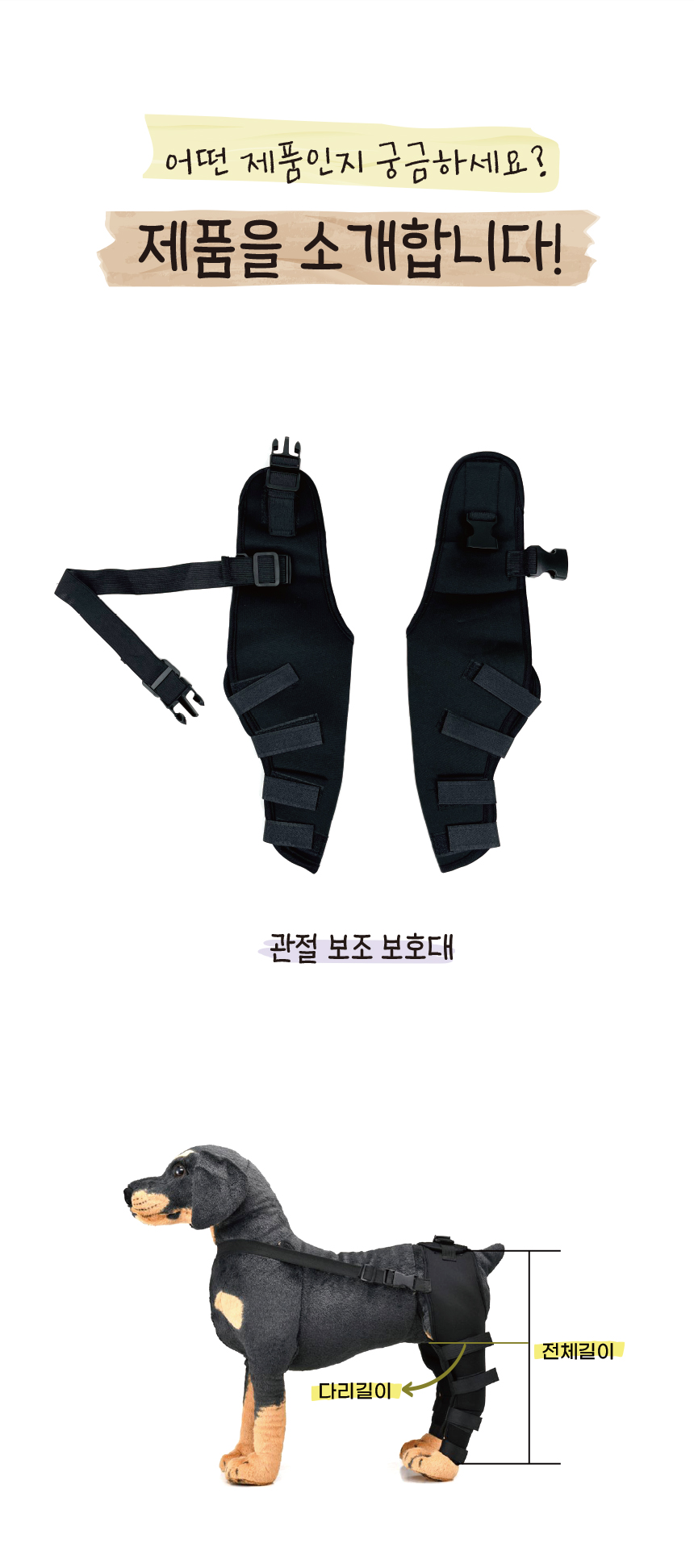 강아지슬개골 애견보행보조 강아지보행보조 상세 이미지 6