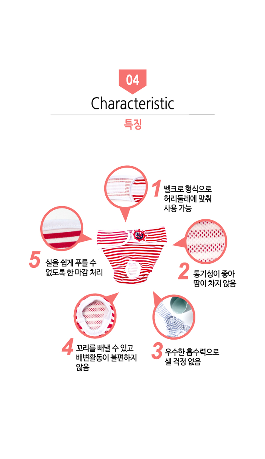 배변용품 애견위생팬티 강아지위생팬티 상세 이미지 6