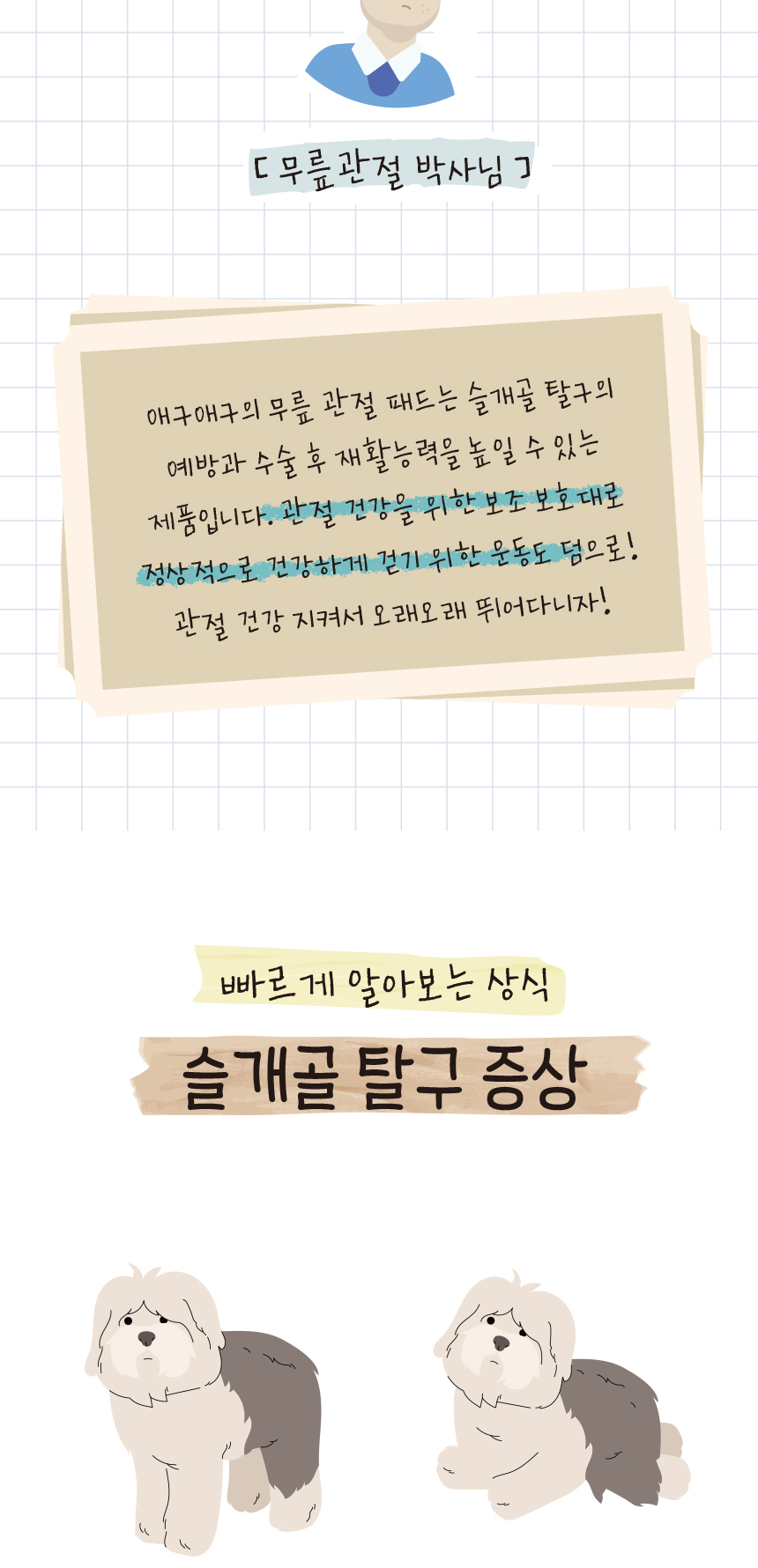 강아지슬개골 애견보행보조 강아지보행보조 상세 이미지 2