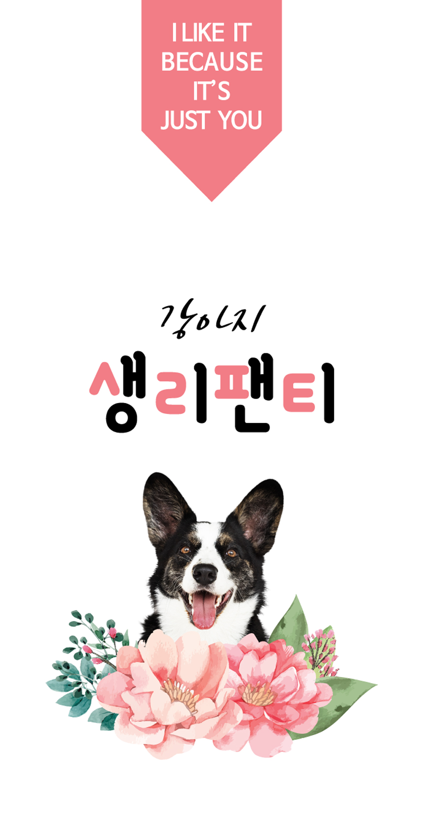 배변용품 애견위생팬티 강아지위생팬티 상세 이미지 1