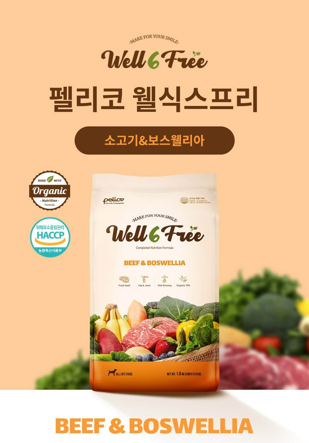 코인 디바 텔레그램 (86) 사진