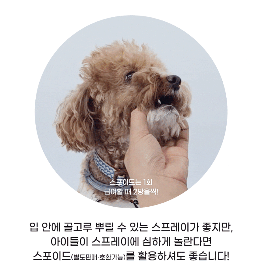 고양이뿌리는치약 뿌리는치약 구강스프레이 상세 이미지 10