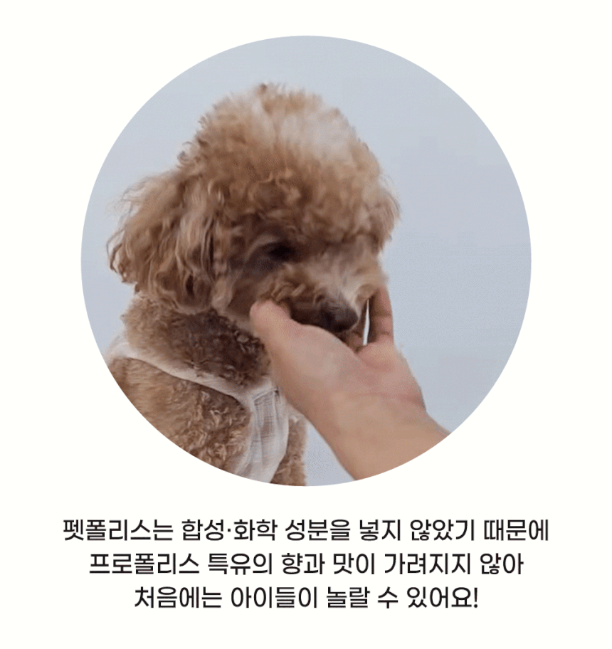 고양이뿌리는치약 뿌리는치약 구강스프레이 상세 이미지 9